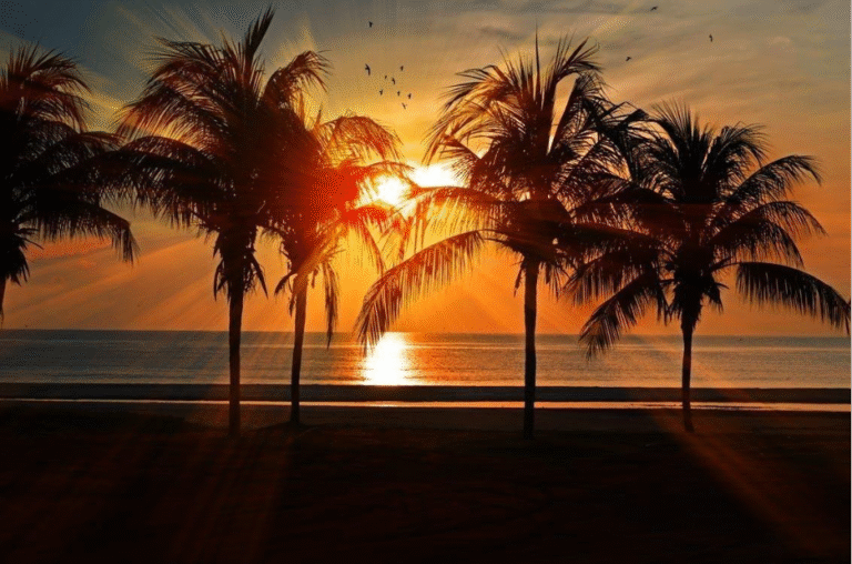 Goa beaches