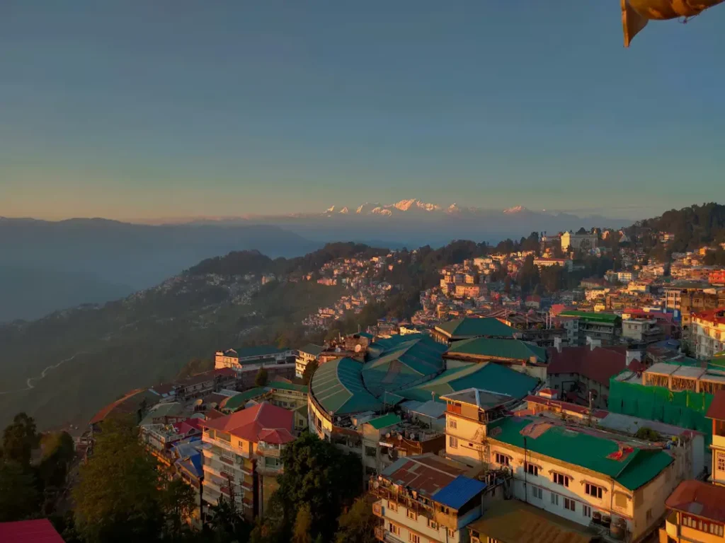 Darjeeling tea gardens and mountain views, one of the best places to visit in India in June for families
