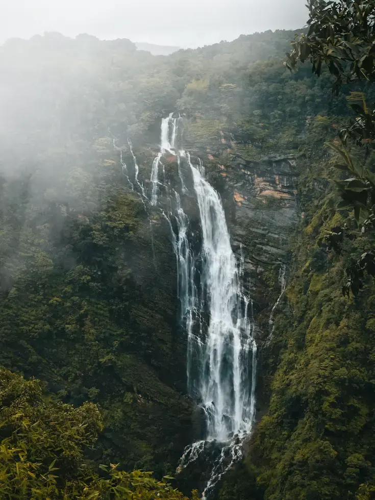 Tall Jog Falls waterfall surrounded by misty green mountains during monsoon in Karnataka, India.