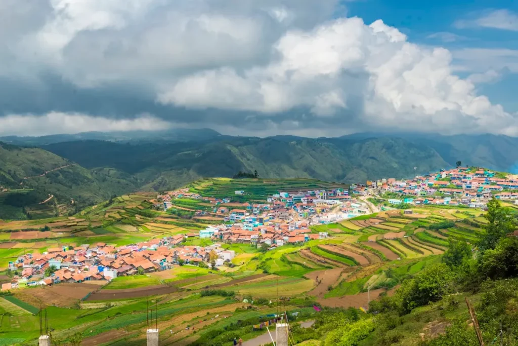 Kodaikanal lake and pine forests, one of the best places to visit in India in June for couples and families
