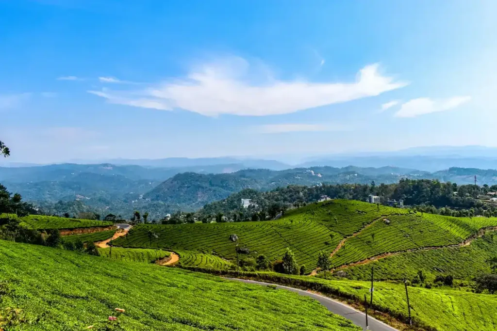 Munnar tea gardens in Kerala, one of the best places to visit in India in June for couples
