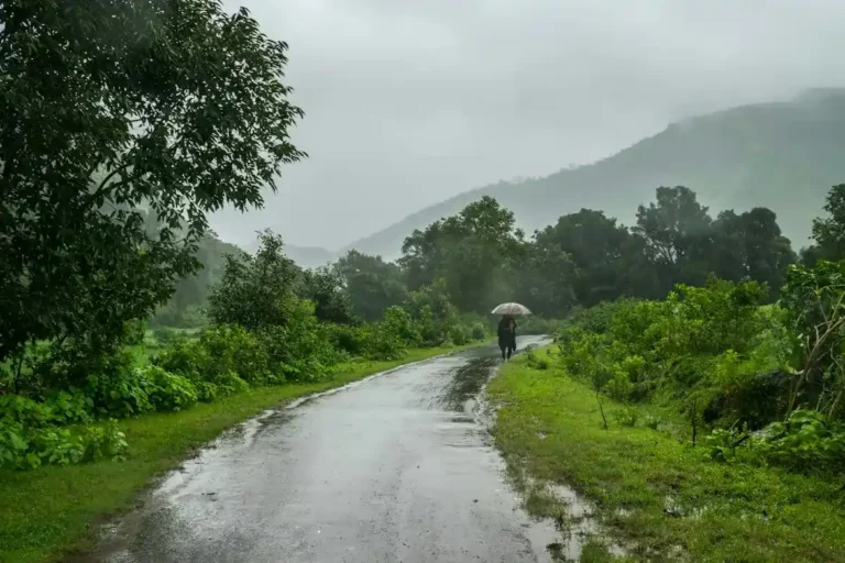Rainy monsoon road through green hills and forests in India
