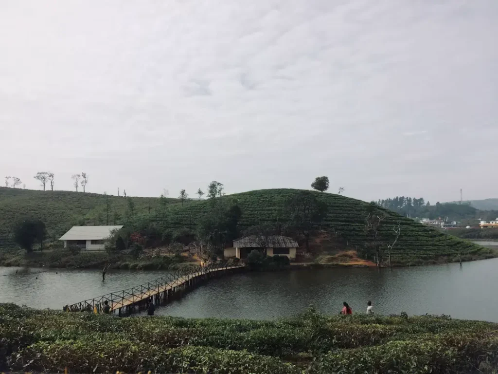 Rolling green meadows and misty hills in Vagamon Kerala
