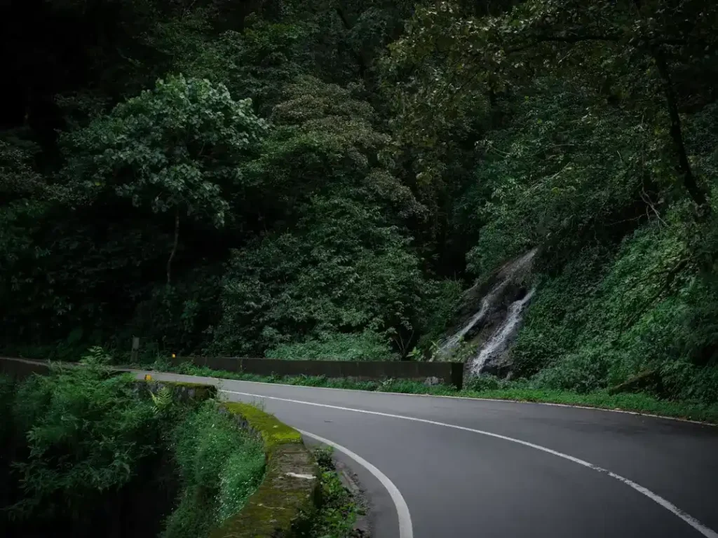 Valparai offers a peaceful monsoon escape with tea gardens, forest roads, and rolling green hills.