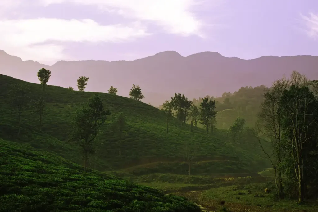 Green forest hills and scenic valleys in Wayanad Kerala
