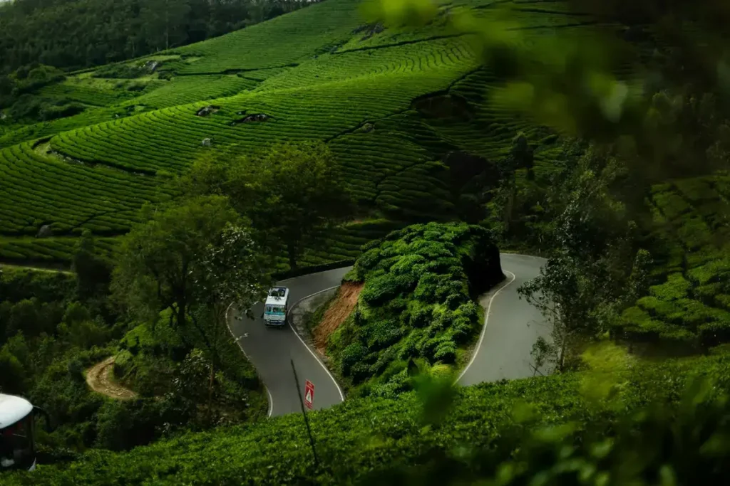 Wayanad forest and hill views in Kerala, one of the best places to visit in India in June for couples
