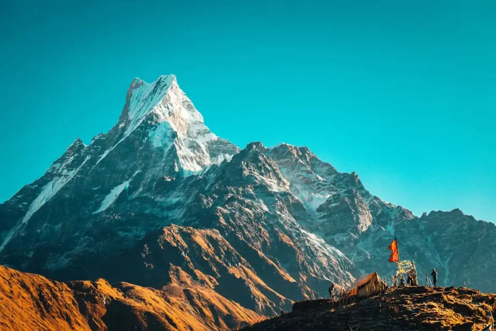 himalayan